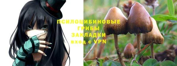 прущая мука Богородск